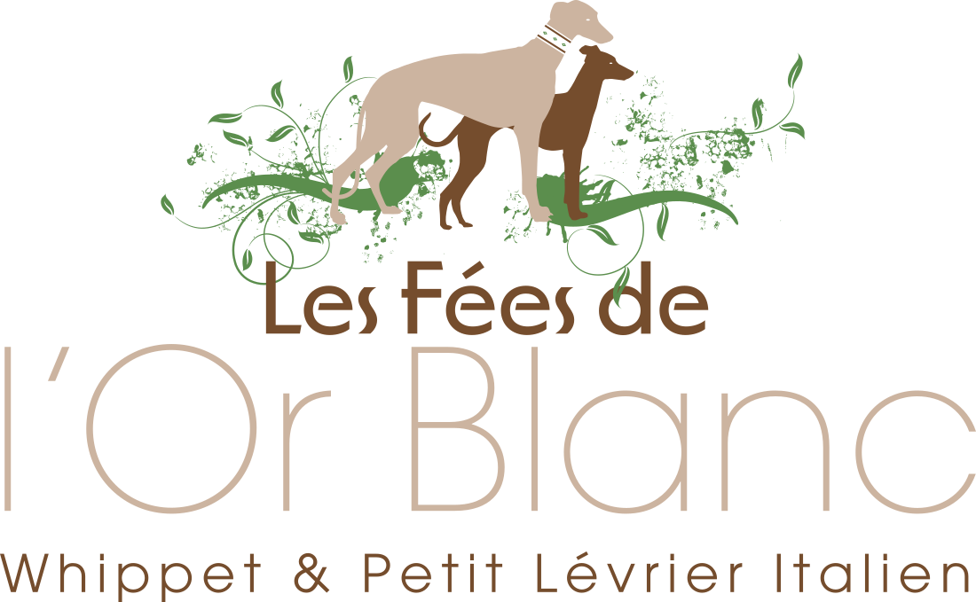 Les Fées de l'Or Blanc