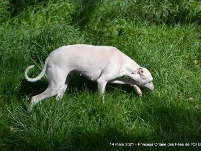 Princess Oriane, la mère