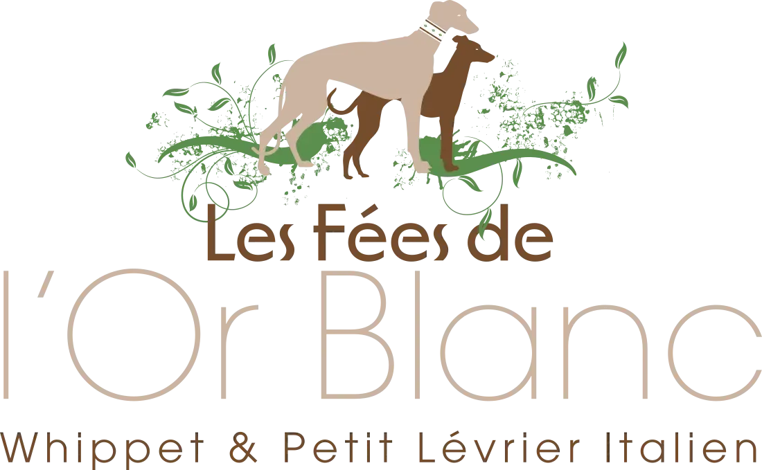 Les Fées de l’Or Blanc